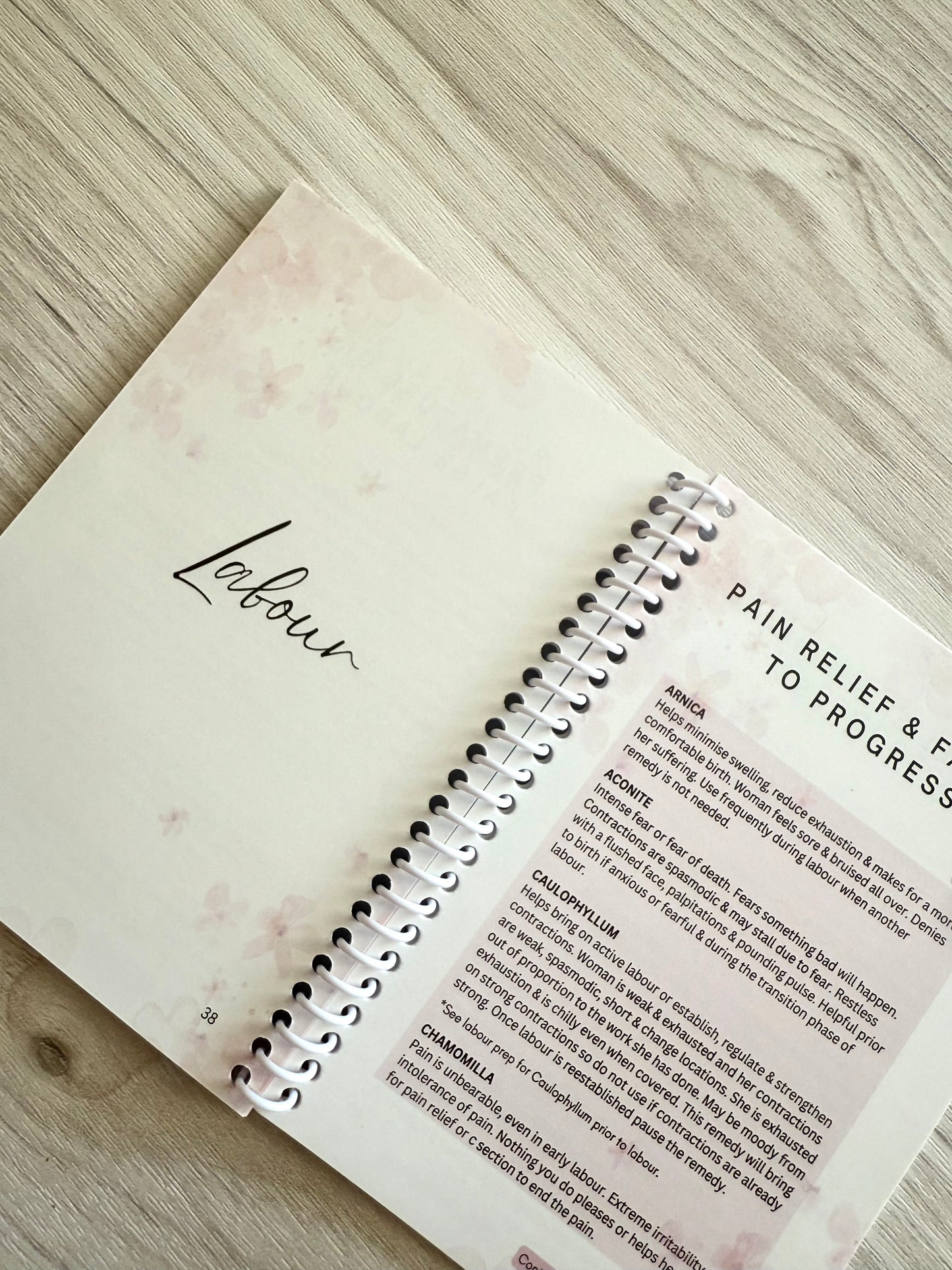 Pregnancy, Birth + Postpartum Guide Book